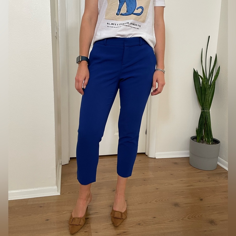 Banana Republic Blue Avery Slacks. Cropped. Size OS